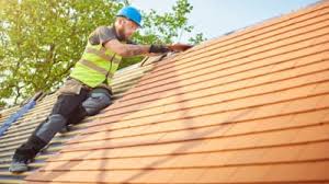 Best Rubber Roofing (EPDM, TPO)  in Franklin Grove, IL