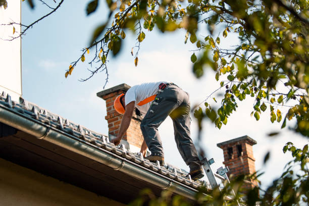 Best Roof Coating and Sealing  in Franklin Grove, IL