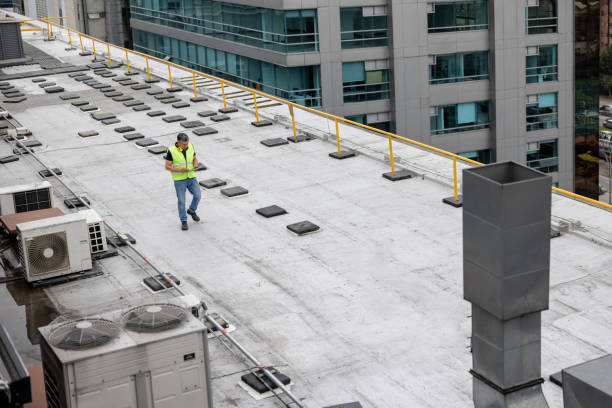 Best Rubber Roofing (EPDM, TPO)  in Franklin Grove, IL