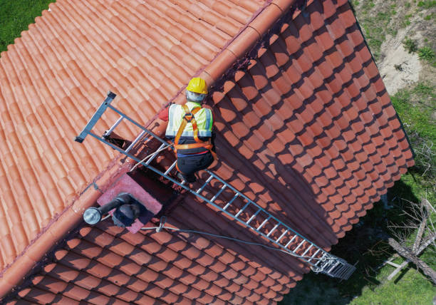 Best Storm Damage Roof Repair  in Franklin Grove, IL