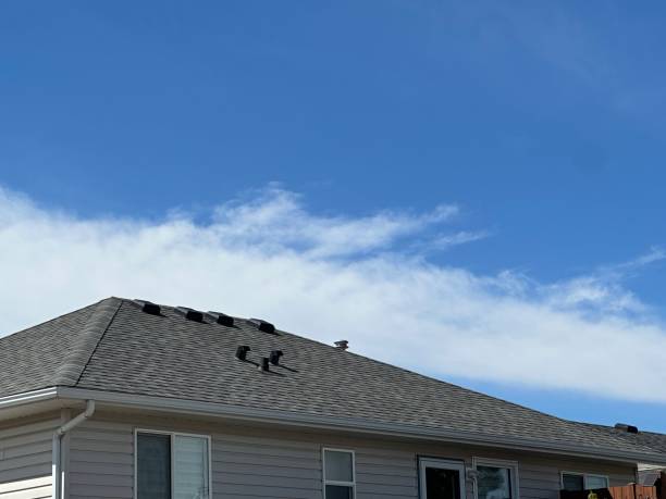 Best Asphalt Shingles Roofing  in Franklin Grove, IL